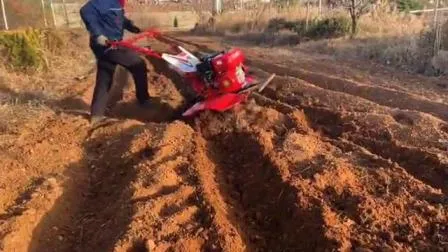 Electric Start 186f Diesel Engine 9HP Power Weeder 